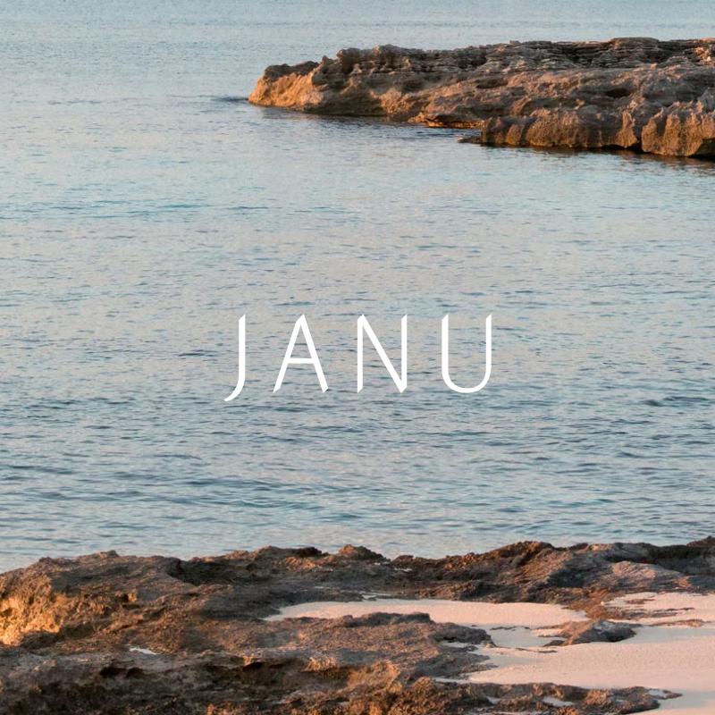 Close-up of textured coastal rocks with foamy ocean waves, overlaid with the text JANU.